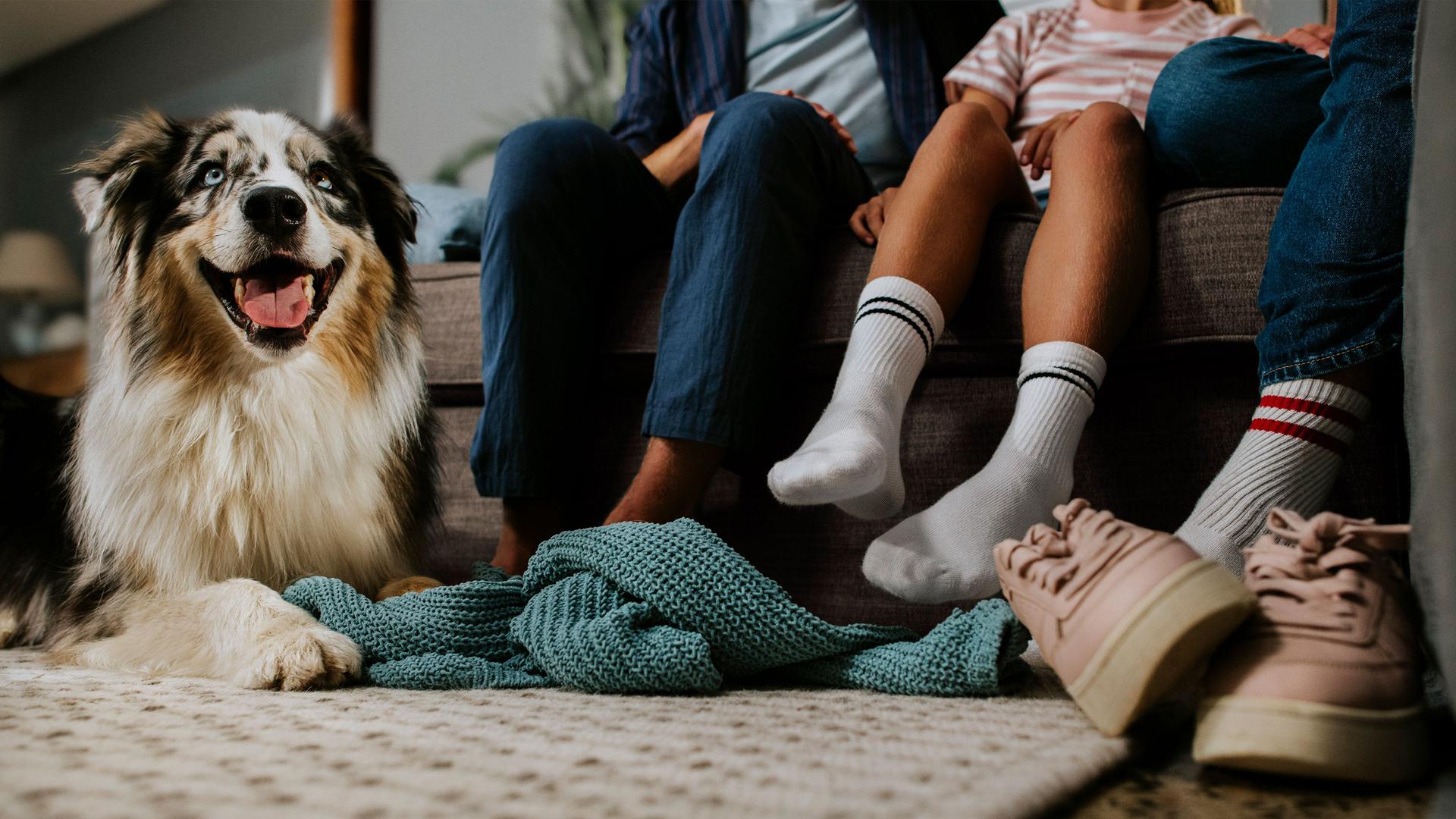 STOFZUIGEN & DWEILEN