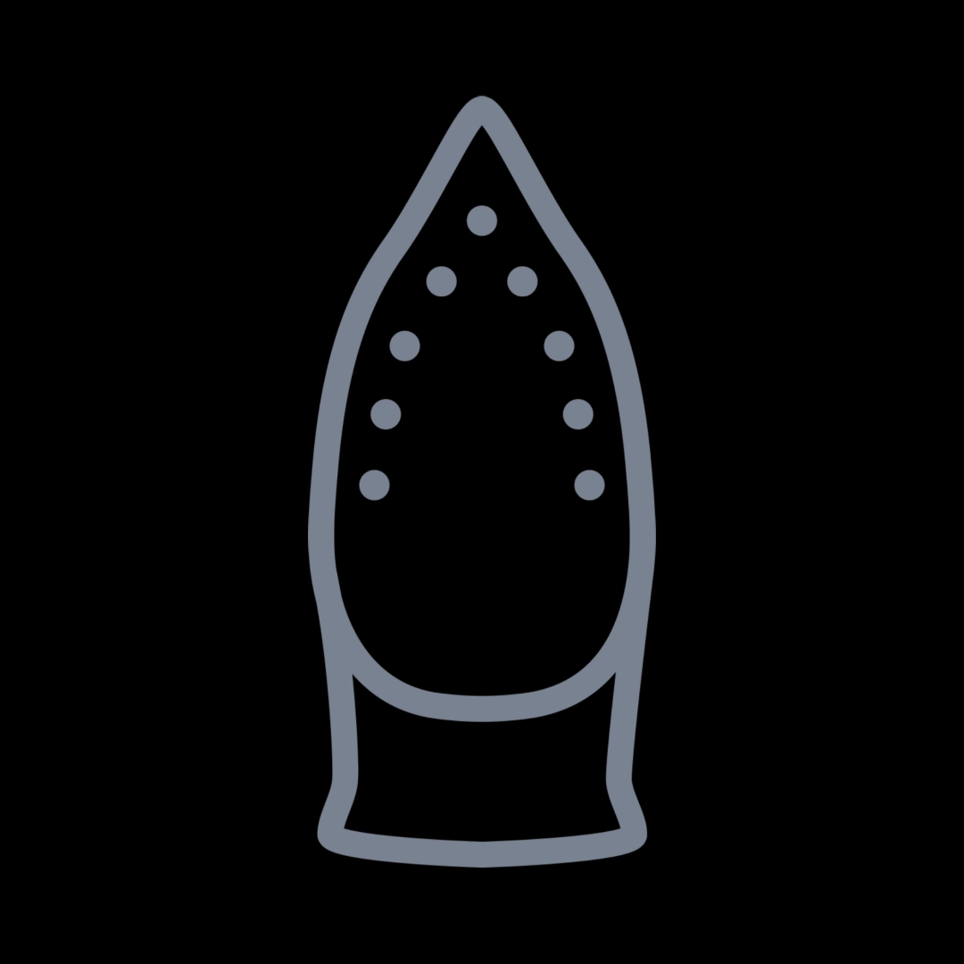 PowerLife Plus Steam iron